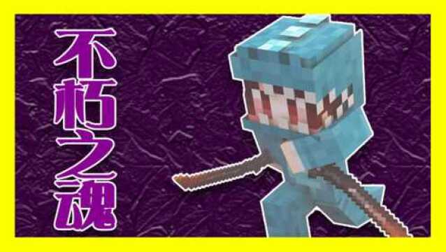 四新 超酷炫的战斗不朽之魂 我的世界Minecraft