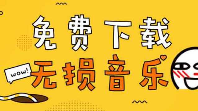 主流音乐APP如何选择?无损音乐只选择它