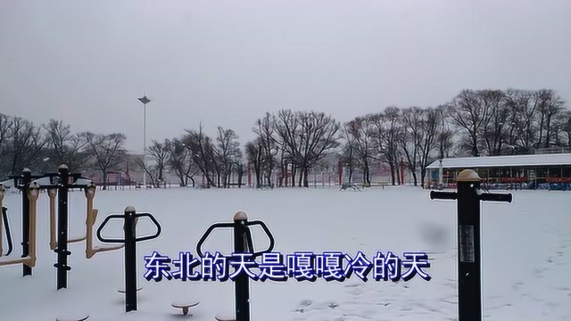 海伦市的一场春雪