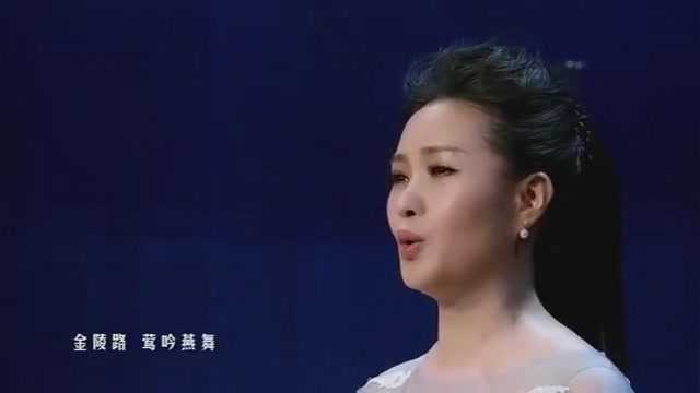 《杏花天影》演唱:雷佳 宋词曲:姜夔