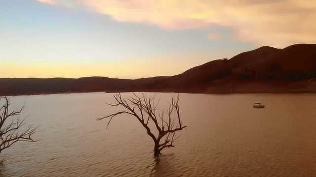 探索大自然,航拍美丽的沿海森林美景