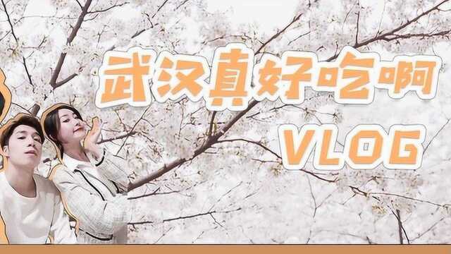 武汉VLOG来啦!