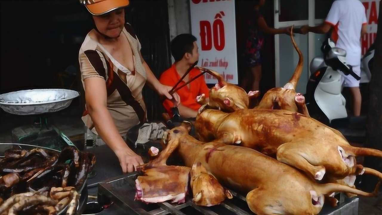 越南烤猫肉图片