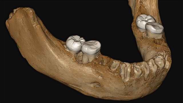 中国学者领衔发现夏河丹尼索瓦人:16万年前登上青藏高原