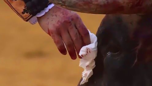 西班牙斗牛士为公牛擦拭眼泪后将其杀死，网友：虐待狂