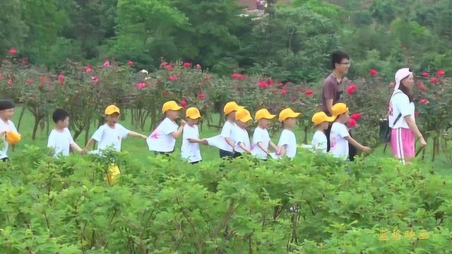 高安市粮食局幼儿园“亲近自然 探索自然”拓展活动