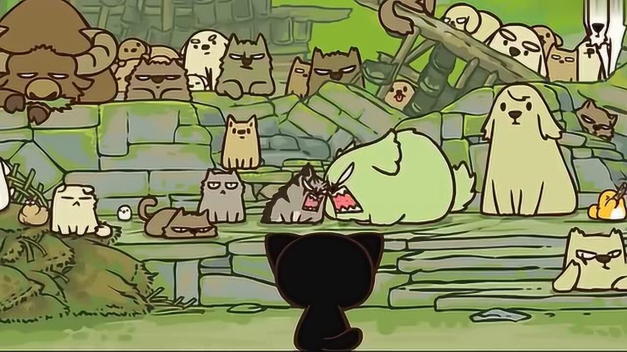 罗小黑战记:小黑找比丢,和一群狗比赛,一只猫成了狗老大?