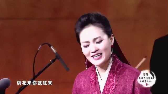 黄土情歌《桃花红 杏花白》演唱:雷佳