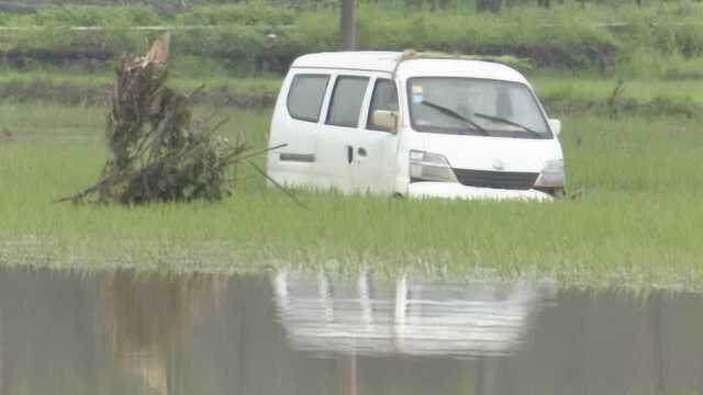 浙江江山暴雨致百车受损,多车还泡田里,保险公司忙疯了