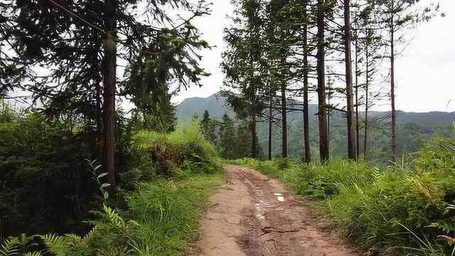 行走贵州大山,这样的山路你遇到过吗?这就是大山里的泥巴路