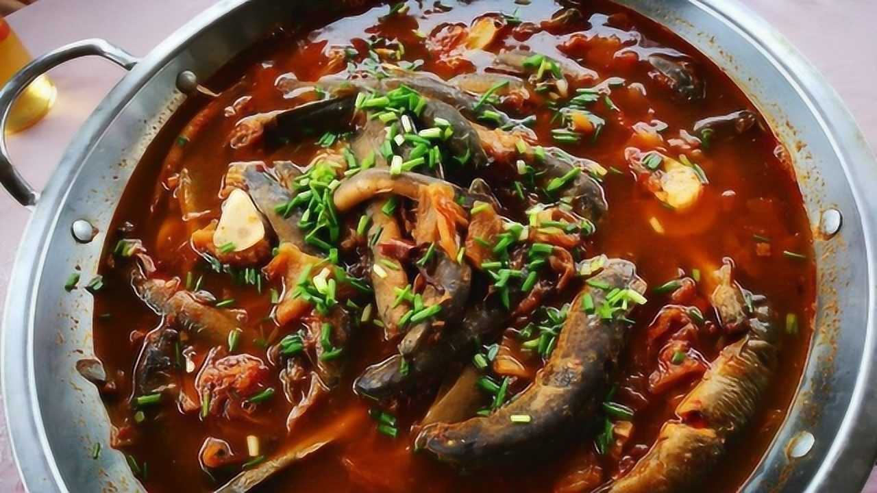 泥鳅火锅怎么做好吃?看看日本大厨怎么处理