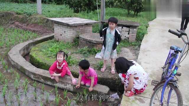 农村小孩的那些快乐时光,摸田螺抓小蝌蚪,你们小时候都玩过吗?