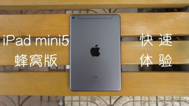 蜂窝版iPad mini5体验,它是最好的移动iOS设备?