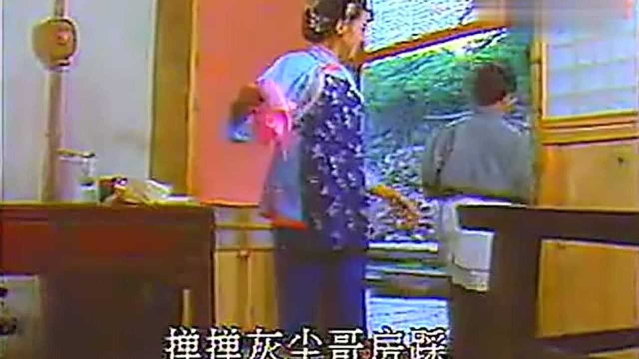 黄梅戏《小辞店》韩再芬"林凤英欺瞒公婆丈夫,与蔡凤鸣相好"