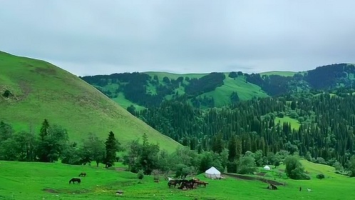 越狱猛片《金蝉脱壳》火龙果讲电影136102:15小山羊成了山大王,每天要