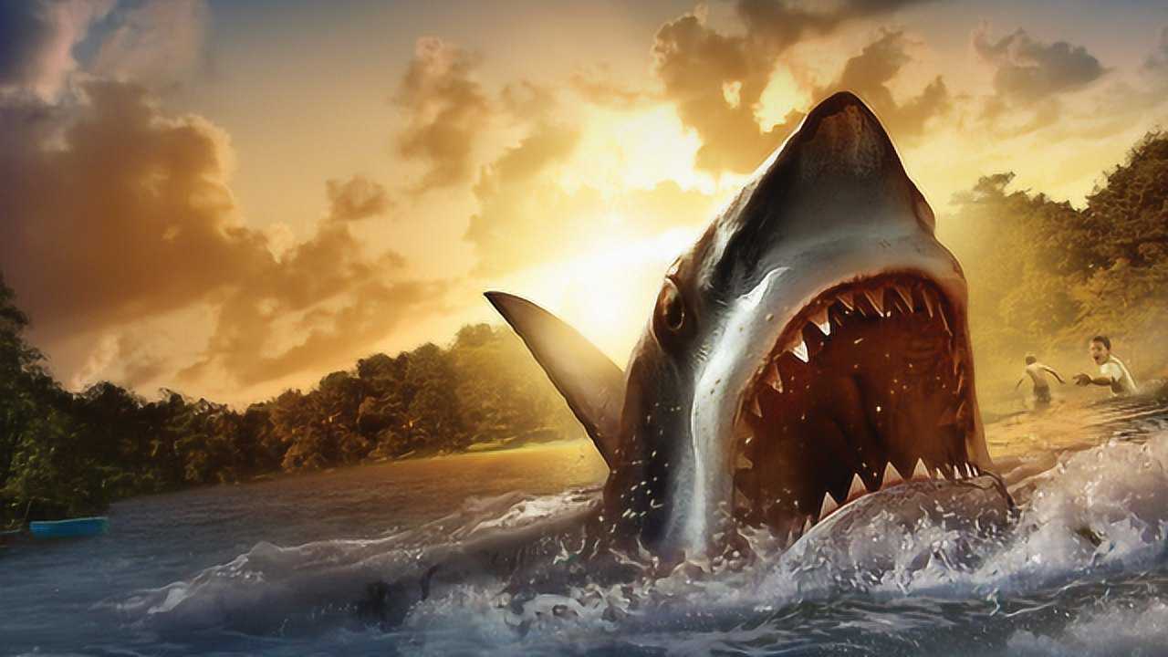 鲨鱼灾电影图片