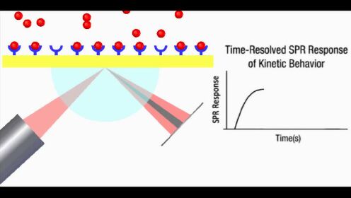 表面等离子体共振SPR分析仪的工作原理解释_腾讯视频