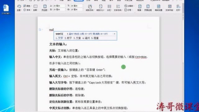 wps文字处理系统文本输入