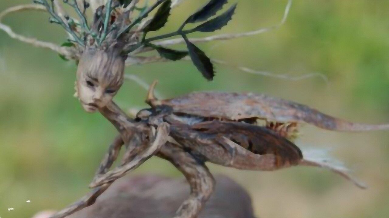 探险家意外发现"人脸虫",头上竟长树叶还会飞,网友:精灵吧!