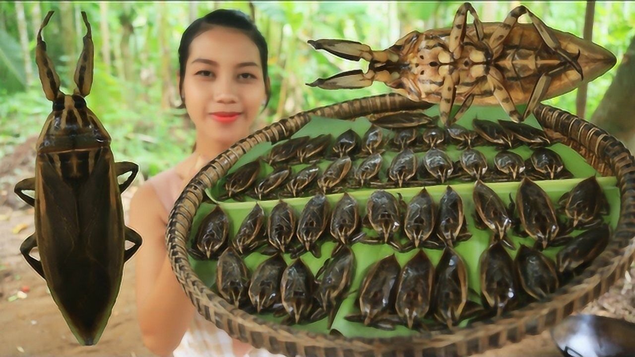 一筐大田鳖看农村妹子怎么吃的吃的津津有味太解馋了