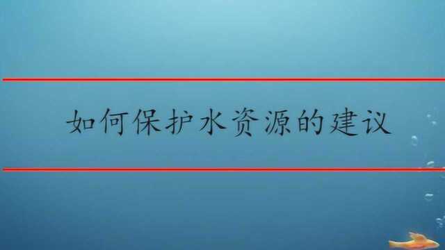 如何保护水资源的建议