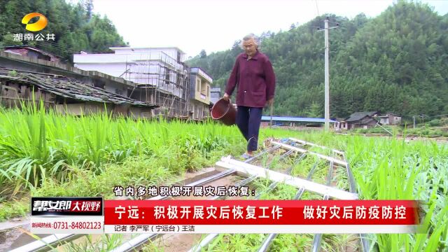 衡东县霞流镇崩塌河堤出现塌方险情