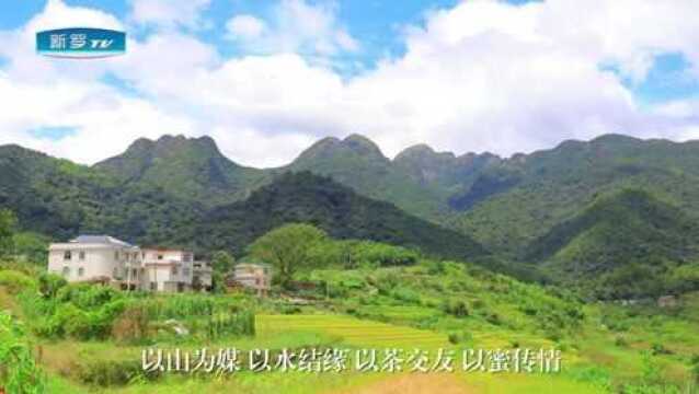 第四届江山“斜背茶及美人蜜”大赛颁奖典礼成功举行