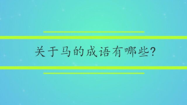 关于马的成语有哪些