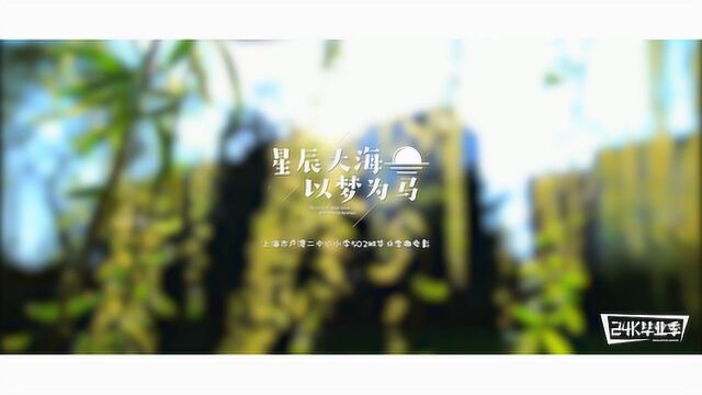 20190626下午卢湾二中心小学五2班精剪毕业季微电影