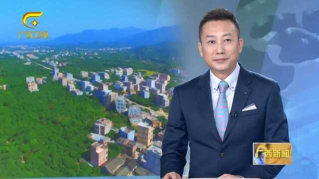 浦北:党建引领 激活村集体经济新动能