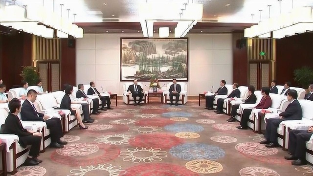 王东峰会见崔世安 傅自应一行