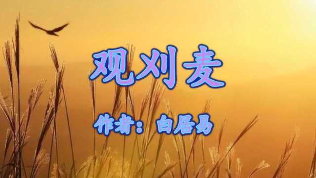 《观刈麦》白居易 田家少闲月 五月人倍忙