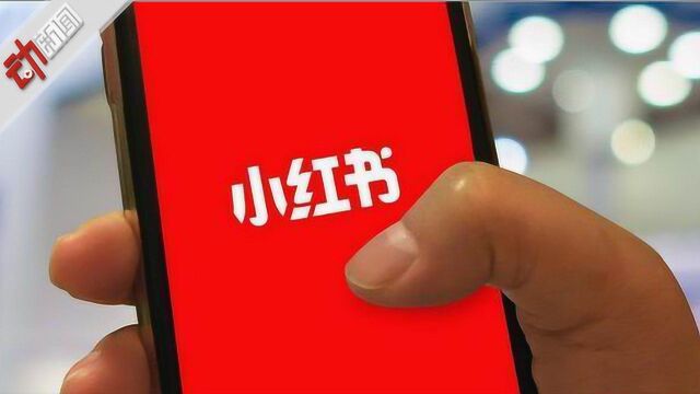 小红书APP下架整改:此前多次内容违规 2次被监管部门点名