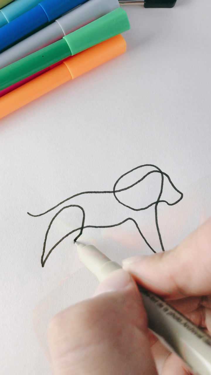 一笔画小狗  养狗的朋友们猜猜是什么品种的?