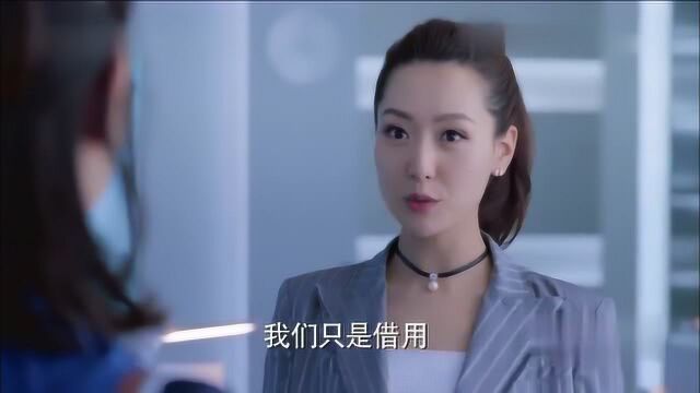 为了心爱的女人,找来了真人秀与公司合作,公司会越来越好的!