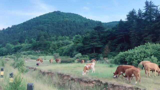 山西汾阳万宝山,世外桃源头道川,景色绝美的原生态避暑胜地