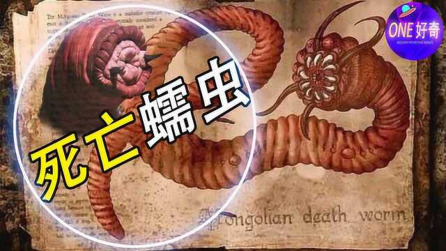 流传100多年的未知生物,蒙古死亡蠕虫到底真的存在吗?