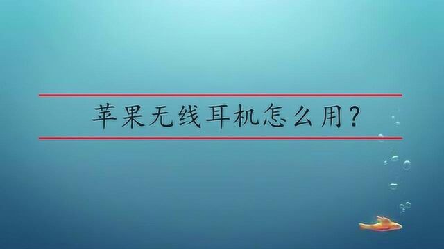 苹果的无线耳机怎么用?