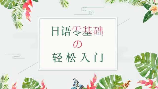 初学者怎么学习日语?日语简单日常用语,教你用日语搭讪