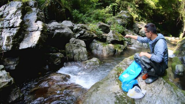 小竹子绑上鱼钩流水野钓,大石缝里肯定有野货,小伙能钓到吗?