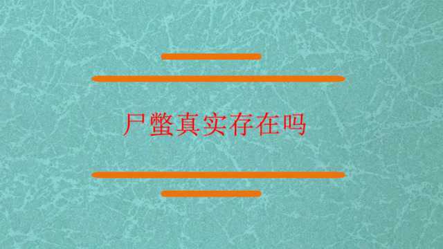 尸蟞在现实生活真实存在吗?