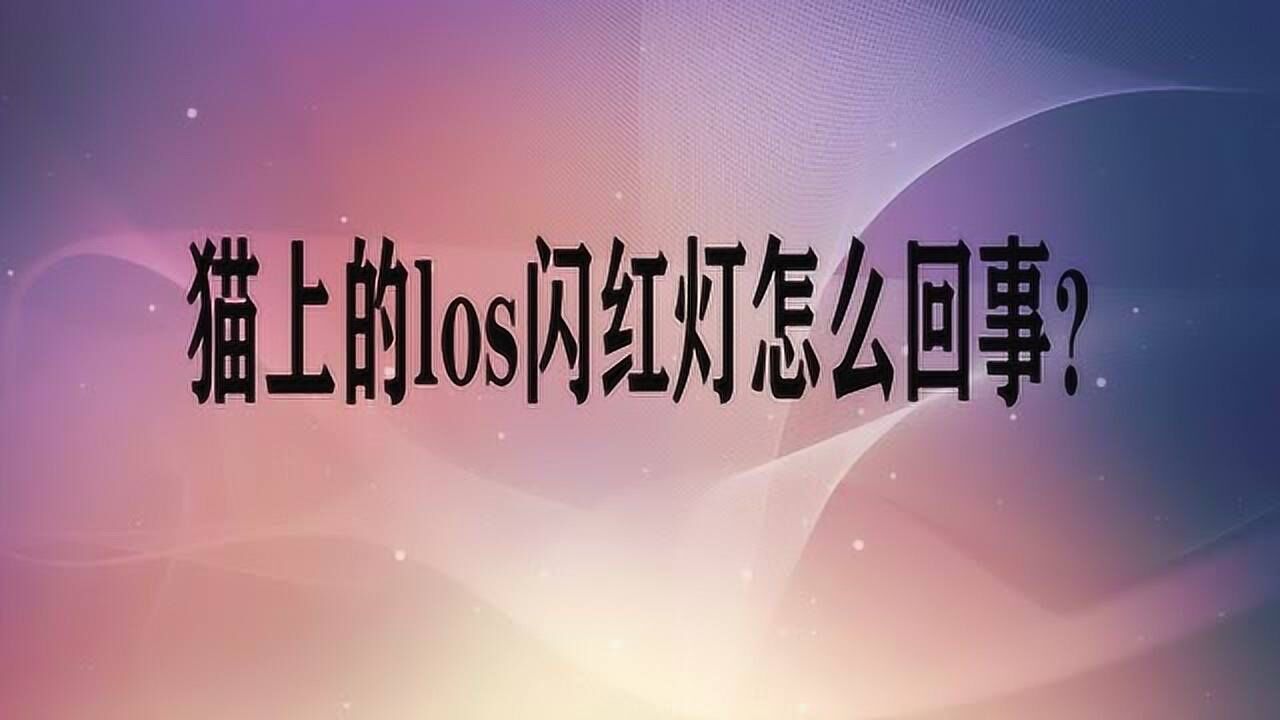 猫上的los闪红灯怎么回事?