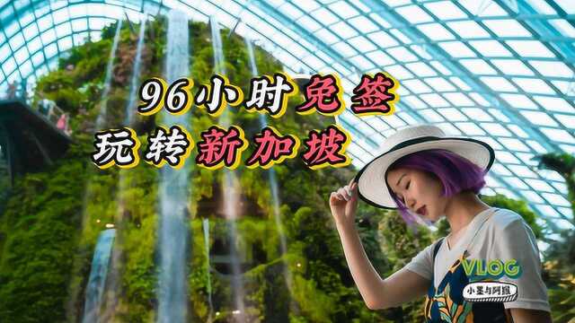 96小时免签玩转新加坡,打卡狂魔带你边拍边玩!