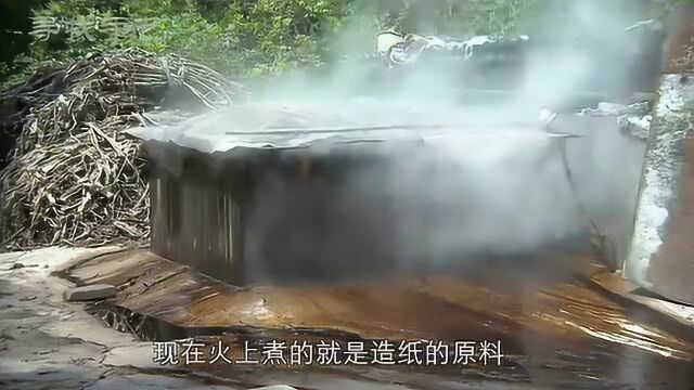 寻找手艺:小岭村中国最好宣纸,造纸原料青檀树,用传统工艺来做