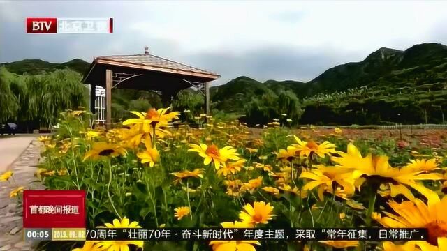 内容“磁力引擎”打造新经济模式