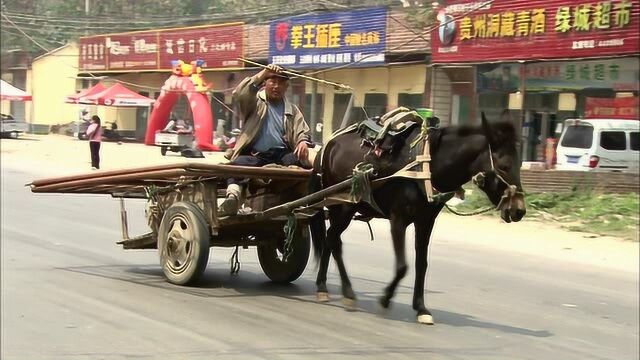 河南濮阳的人都才华横溢,好像天生就会杂技,每一个都是练家子