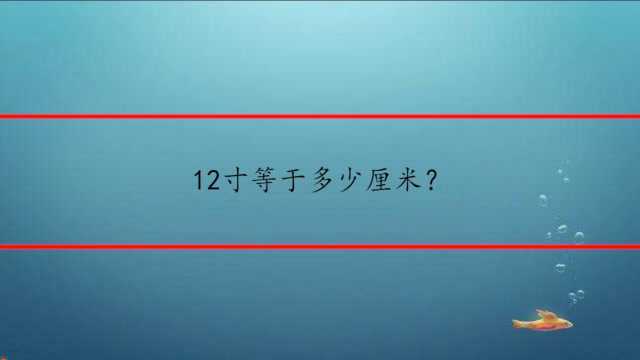 12寸等于多少厘米?