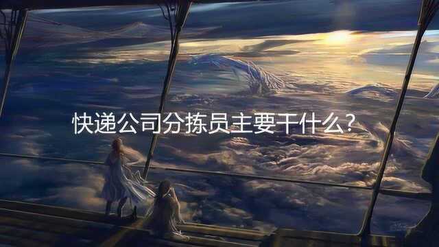 快递公司分拣员主要干什么?