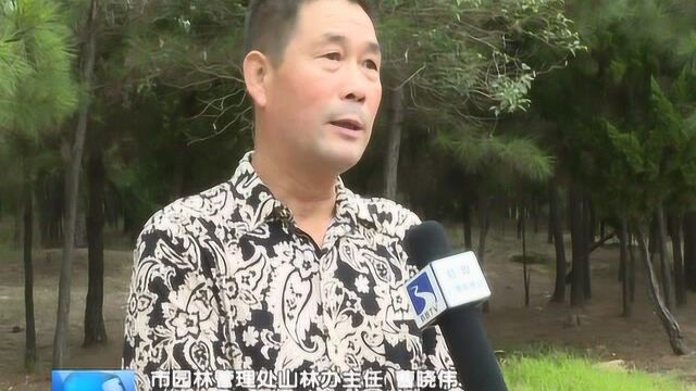 蚌埠虎山公园设计方案民意征集调查问卷发布