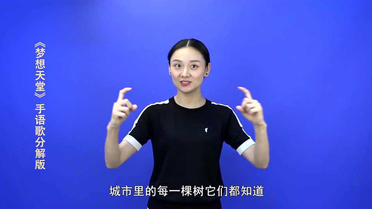 手语姐姐 手语歌《梦想天堂》分解版 手语教学